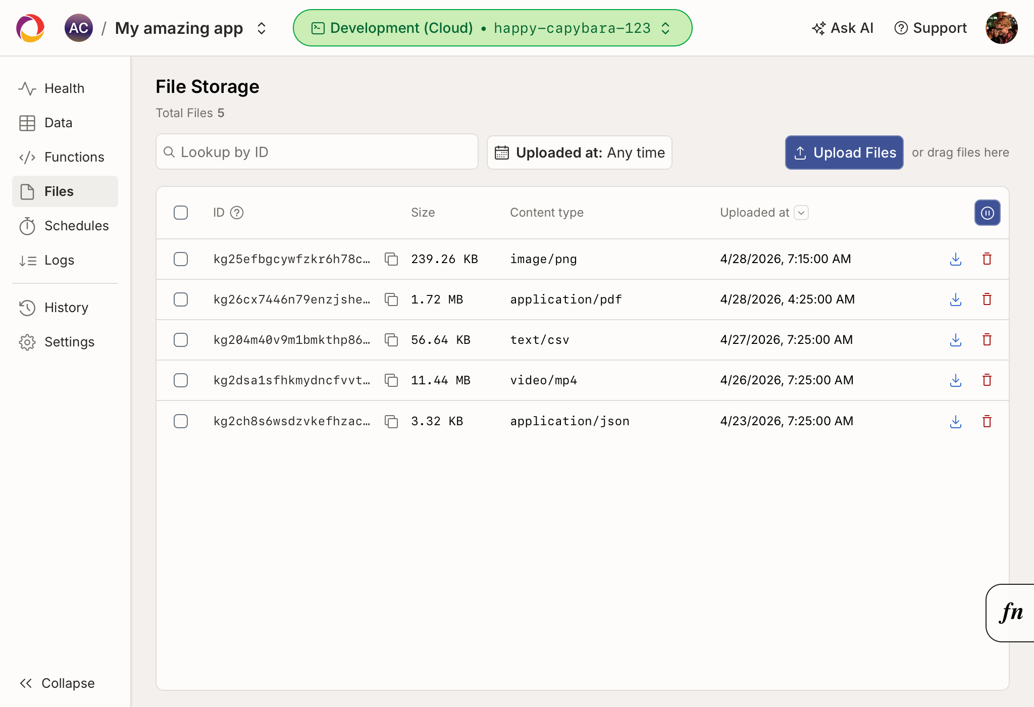 The Files page of the dashboard